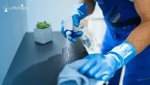 professional house cleaning Salt Lake City