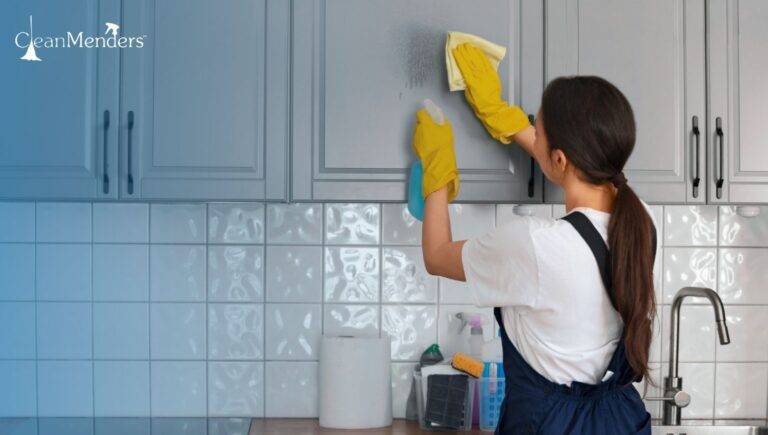 Professional Kitchen Cleaning Services