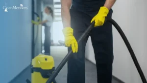 Deep Clean vs. Standard Clean