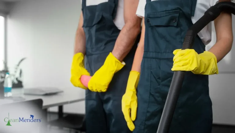 Deep Clean vs. Standard Clean